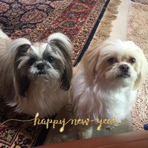 Meet your Posher, Rita